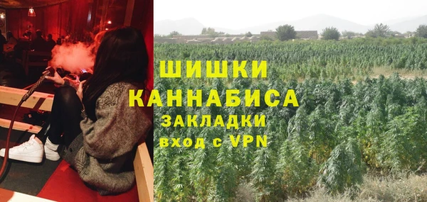 сатива Ладушкин