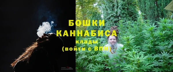 дживик Лабытнанги