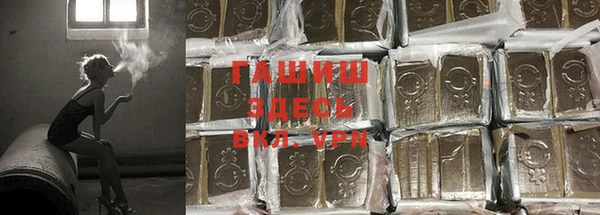 сатива Ладушкин