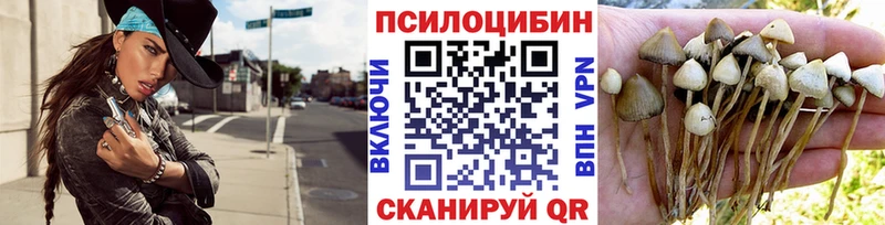 Псилоцибиновые грибы GOLDEN TEACHER  нарко площадка телеграм  Шебекино 