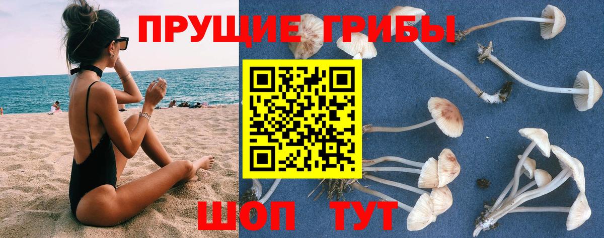 Галлюциногенные грибы MAGIC MUSHROOMS  Шебекино 