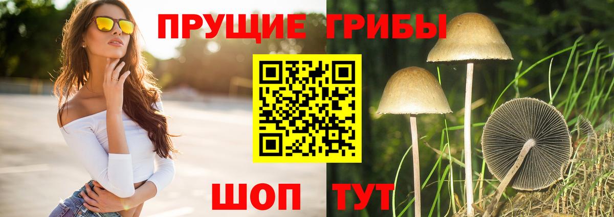 Псилоцибиновые грибы прущие грибы  Вход с VPN  Шебекино 